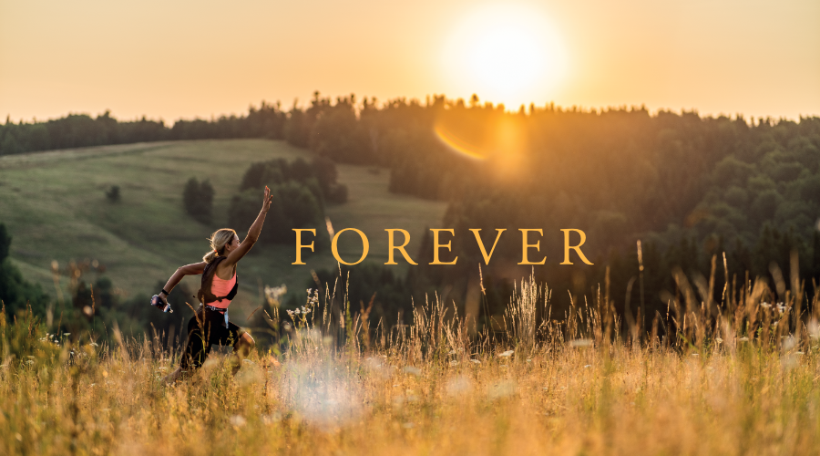 Forever by Cuna