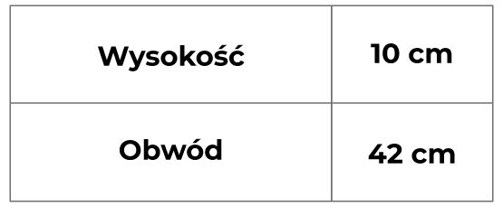 OPASKA-SPORTOWA-JAK-MIERZYC-I-TABELA-ROZMIARÓW